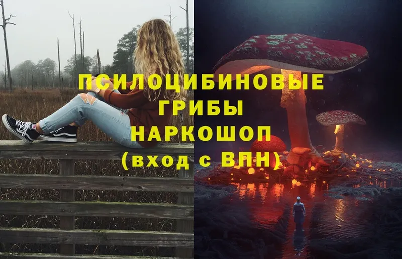 Псилоцибиновые грибы мухоморы Сураж